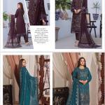 Pakistani Dress - WA0012